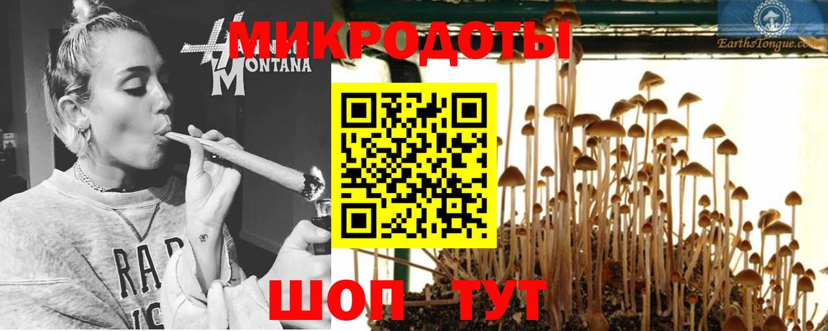Когалым  Галлюциногенные грибы GOLDEN TEACHER  Вход с VPN  Галлюциногенные грибы прущие грибы 