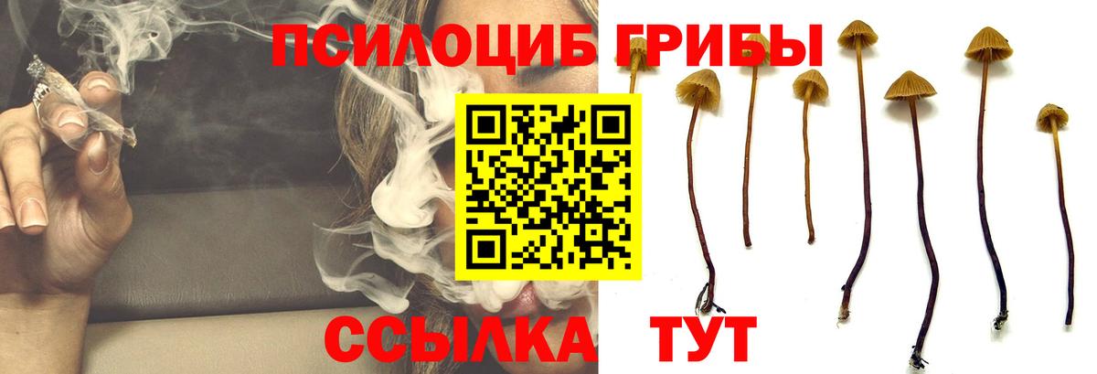 Псилоцибиновые грибы MAGIC MUSHROOMS Когалым
